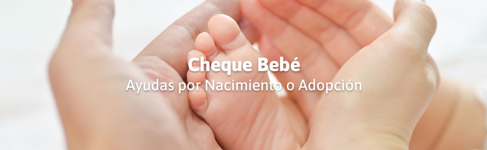 Cheque Bebé - Ayudas por nacimiento o adopción